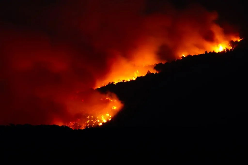 Incendios forestales en el Parque Nacional Los Alerces y Chubut, emergencia ígnea en la Comarca Andina