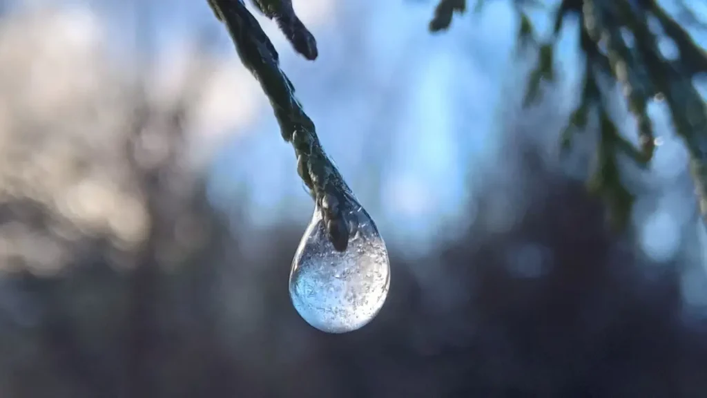 gota congelada que pende de la punta de una hoja