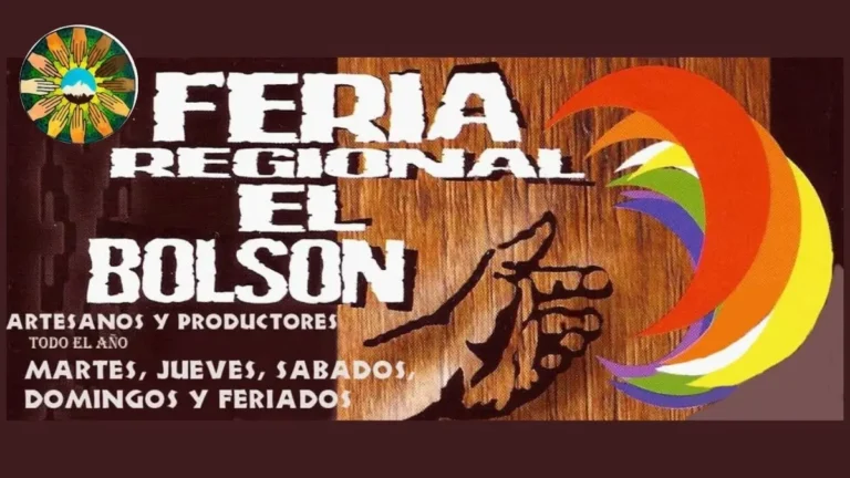 feria regional el bolson portada con logo 768x432