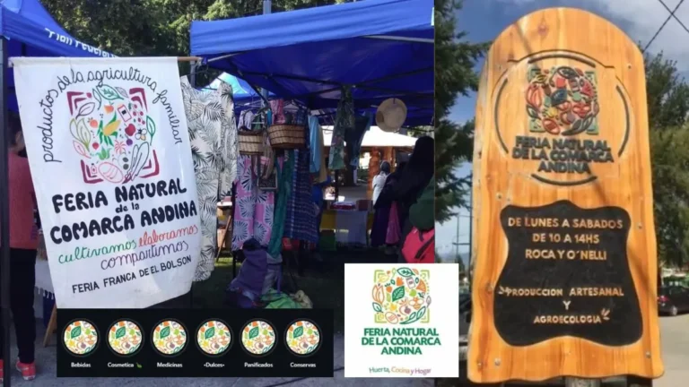 feria natural de la comarca andina 768x432